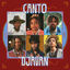 Cover Canto Djavan