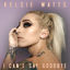 Cover I Can't Say Goodbye