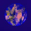 Cover Lagoon