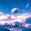 Cover VYNNAS