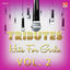 Cover Tributes - Hits for Girls Vol. 2