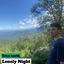 Cover lonely night