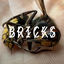 Cover Bricks