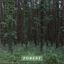 Cover Forest