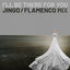 Cover I'll Be There for You (Flamenco Mix)