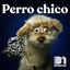Cover Perro Chico