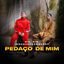Cover Pedaço de Mim