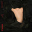 Cover Snakeskin