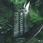 Cover JUNGLE