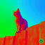 Cover Curiosity