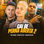 Cover Cai de Perna Aberta 2