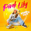 Cover Bubble Gum