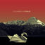Cover Cygnus