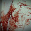 Cover ) ( (feat. zunamii )