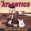 Cover Flight of the Surf Guitar