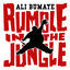 Cover Rumble in the Jungle