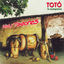 Cover Gaitas y Tambores