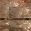 Cover shimmers