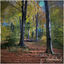 Cover Hinterlands