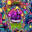 Cover Psychedelics