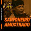 Cover Sanfoneiro Amostrado (Ao Vivo no Festival Rootstock)