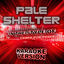 Cover Pale Shelter (In the Style of Tears for Fears) [Karaoke Version] - Single