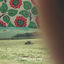 Cover You Are Here
