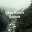 Cover Calm Nature Sounds