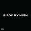 Cover Birds Fly High