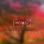 Cover Infinite Nocturne