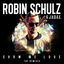 Cover Show Me Love (The Remixes)
