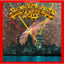 Cover JUN FUKAMACHI & THE NEW YORK ALL STARS LIVE