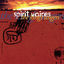 Cover Spirit Voices