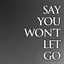 Cover Say You Wont Let Go