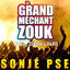 Cover Le Grand Méchant Zouk : Sonjé PSE (Live)
