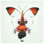 Cover Cruel