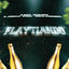 Cover Flaytiando