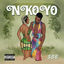 Cover Nkoyo