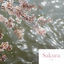 Cover Sakura