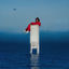 Cover Acqua