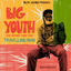 Cover Travelling Man (feat. Big Youth & Sangie Davis)