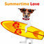 Cover Summertime Love