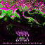 Cover MamaGanja