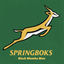 Cover Springboks