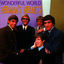 Cover Wonderful World