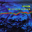 Cover The Best of The Icicle Works