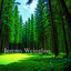 Cover Green Forest