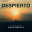 Cover Despierto