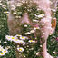 Cover FLOWERS OF FLESH AND BLOOD