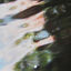Cover Silverlining